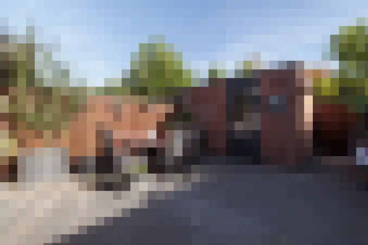 Satijnvlinderlaan 16 Son en Breugel thumbnail 42