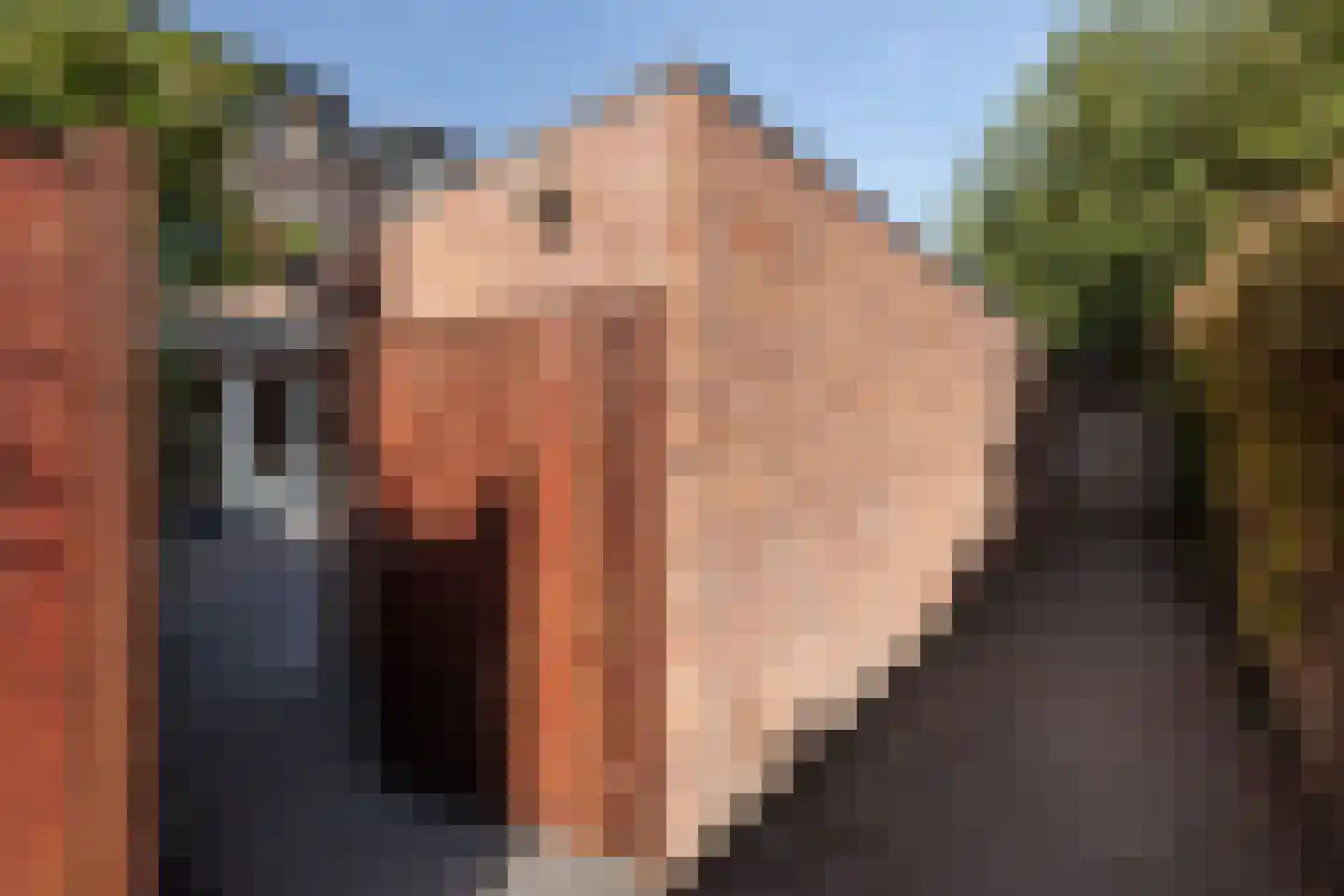 Satijnvlinderlaan 16 Son en Breugel thumbnail 44