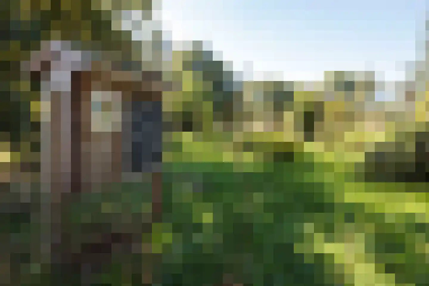 Satijnvlinderlaan 16 Son en Breugel thumbnail 53
