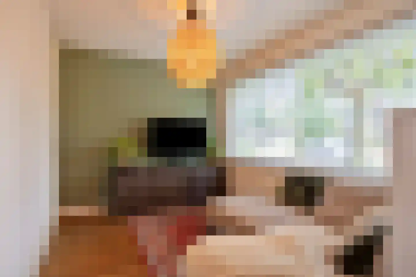 Satijnvlinderlaan 28 Son en Breugel thumbnail 14