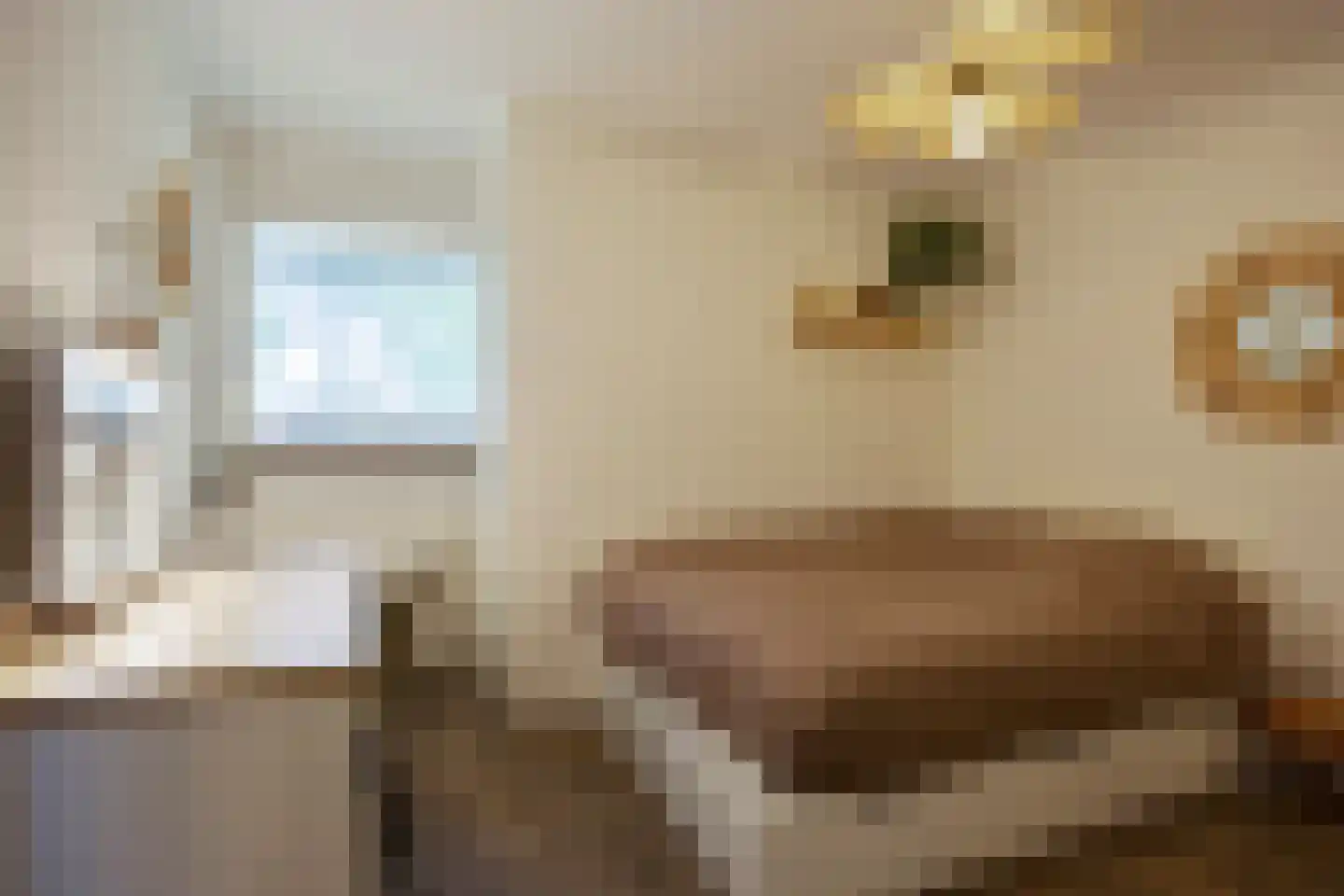 Satijnvlinderlaan 28 Son en Breugel thumbnail 31