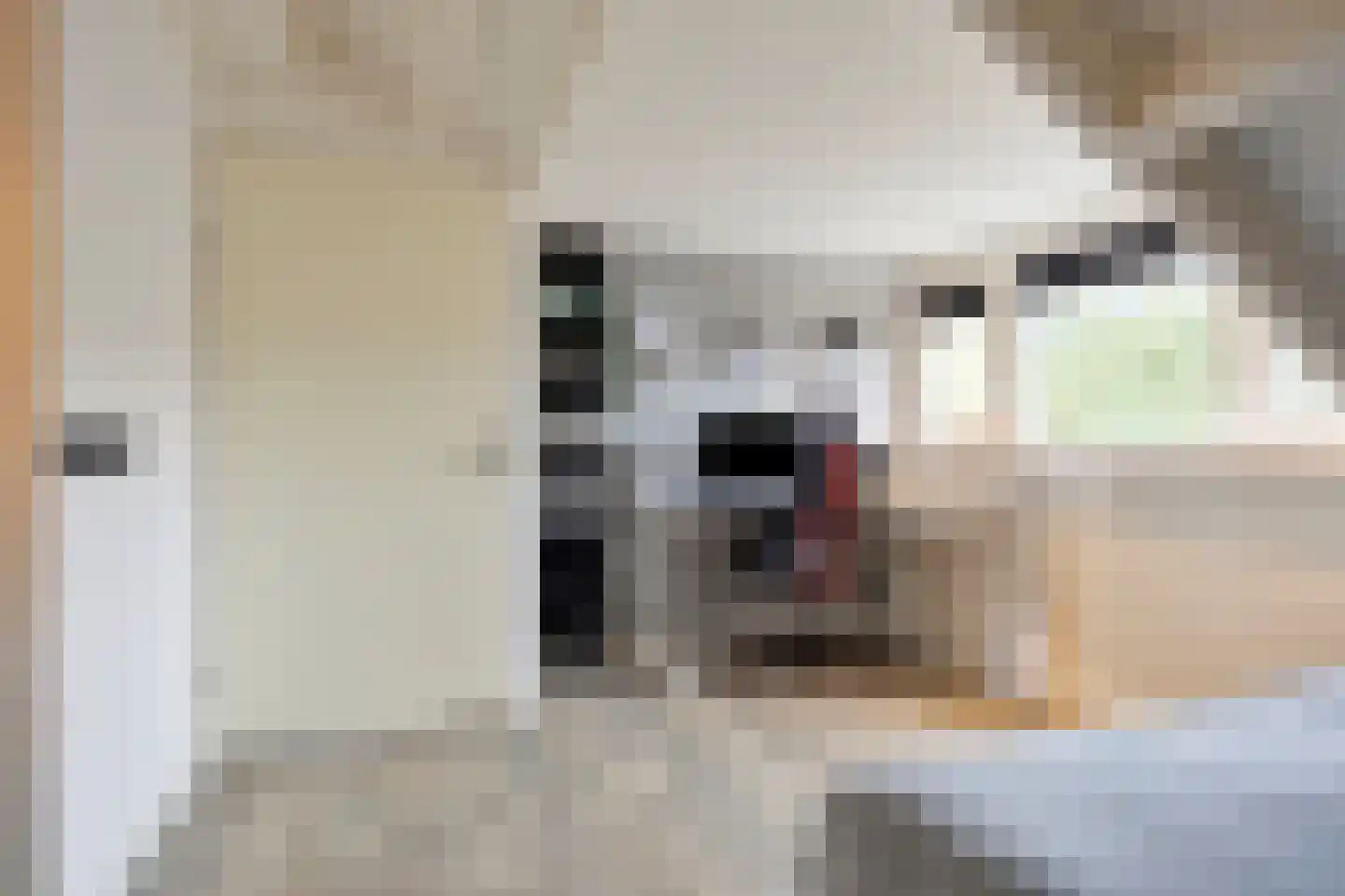 Satijnvlinderlaan 28 Son en Breugel thumbnail 38