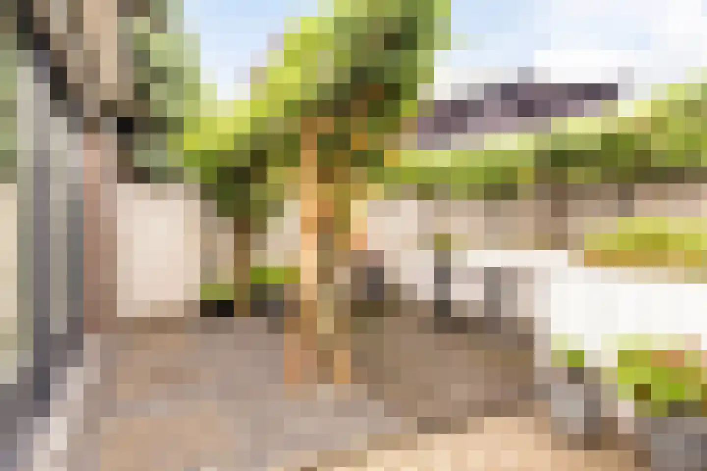 Satijnvlinderlaan 28 Son en Breugel thumbnail 41