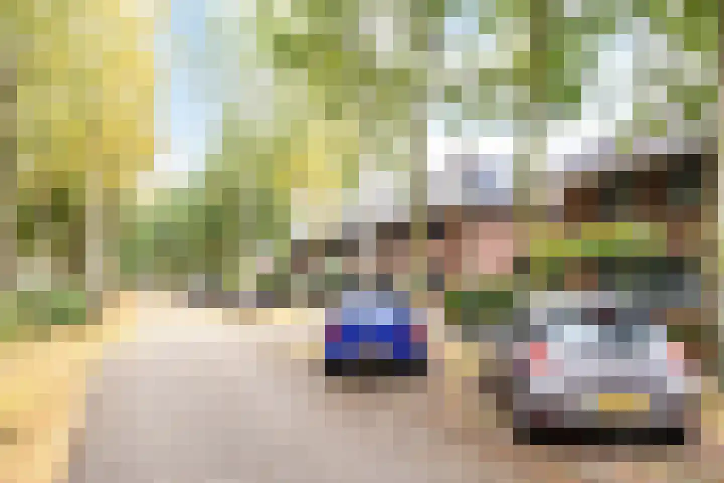 Satijnvlinderlaan 28 Son en Breugel thumbnail 45
