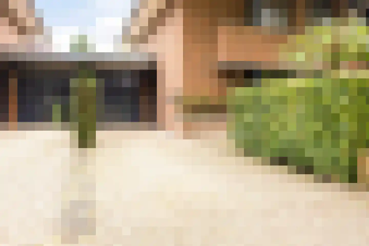 Satijnvlinderlaan 28 Son en Breugel thumbnail 7