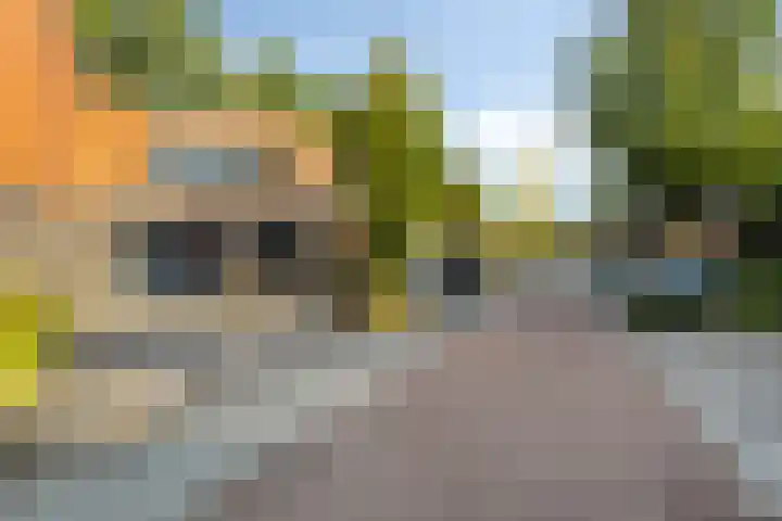 Satijnzwam 11 Veenendaal
