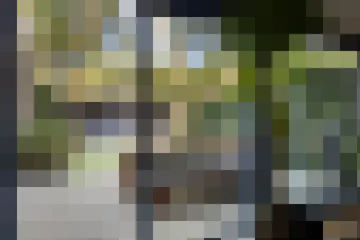 Satijnzwam 11 Veenendaal thumbnail 12