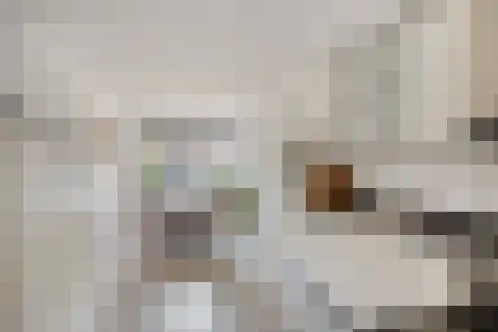 Satijnzwam 11 Veenendaal thumbnail 13