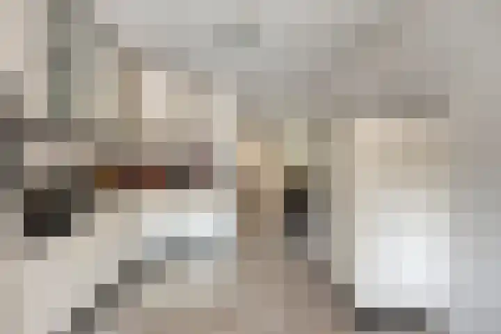 Satijnzwam 11 Veenendaal thumbnail 14