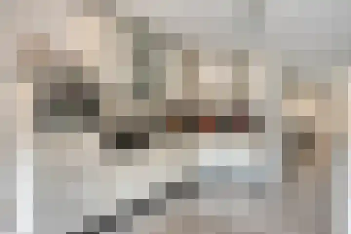 Satijnzwam 11 Veenendaal thumbnail 15