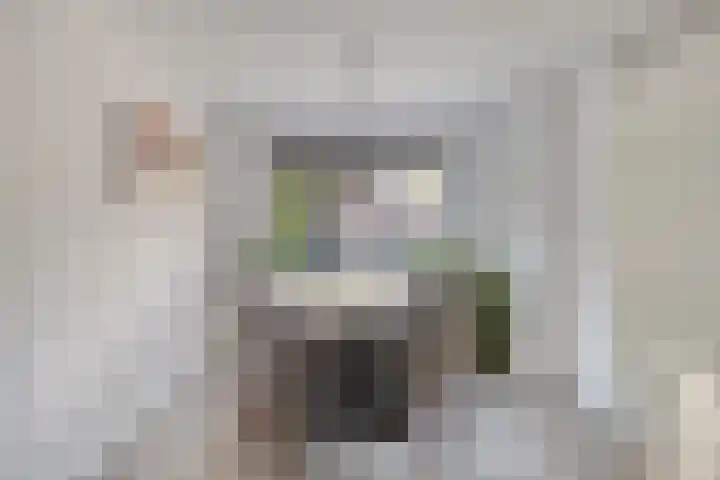 Satijnzwam 11 Veenendaal thumbnail 16