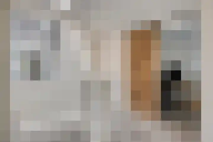 Satijnzwam 11 Veenendaal thumbnail 17