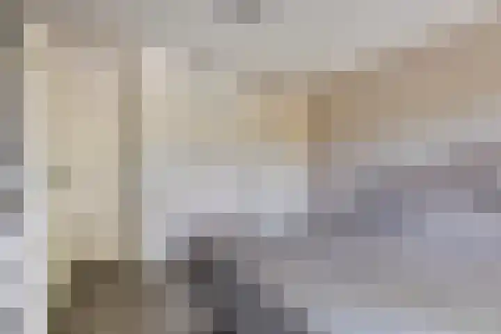 Satijnzwam 11 Veenendaal thumbnail 19