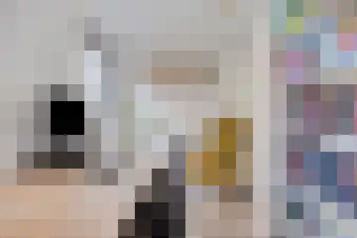 Satijnzwam 11 Veenendaal thumbnail 22
