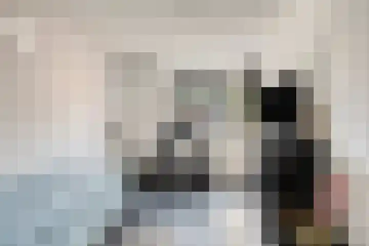 Satijnzwam 11 Veenendaal thumbnail 23