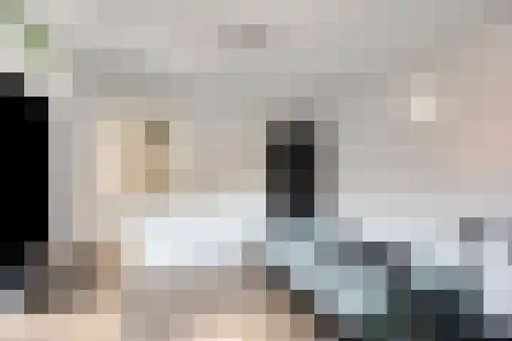 Satijnzwam 11 Veenendaal thumbnail 24