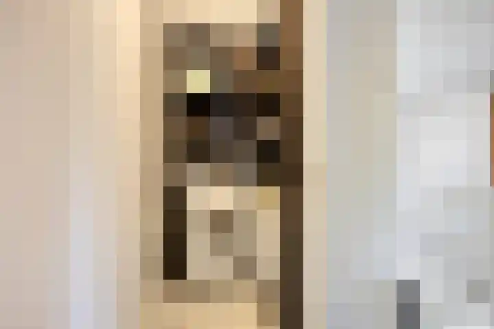 Satijnzwam 11 Veenendaal thumbnail 25