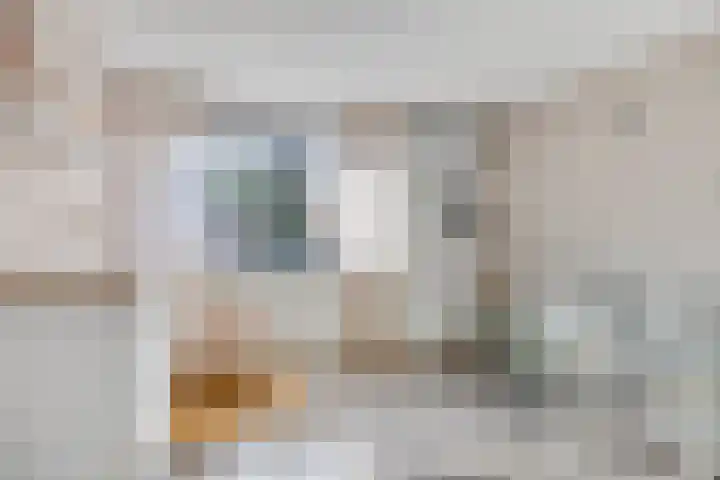Satijnzwam 11 Veenendaal thumbnail 26