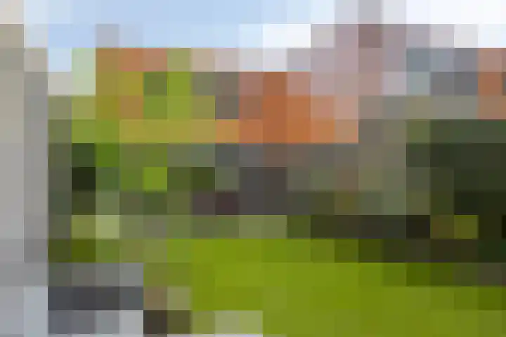 Satijnzwam 11 Veenendaal thumbnail 28