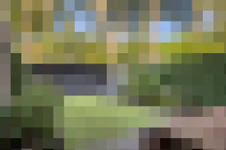 Satijnzwam 11 Veenendaal thumbnail 29