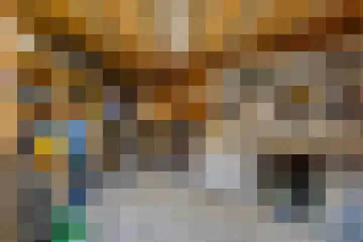 Satijnzwam 11 Veenendaal thumbnail 30