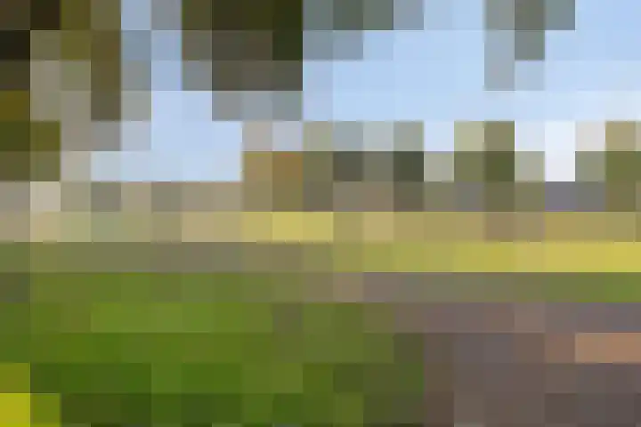 Satijnzwam 11 Veenendaal thumbnail 31