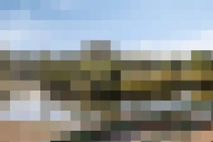 Satijnzwam 11 Veenendaal thumbnail 32