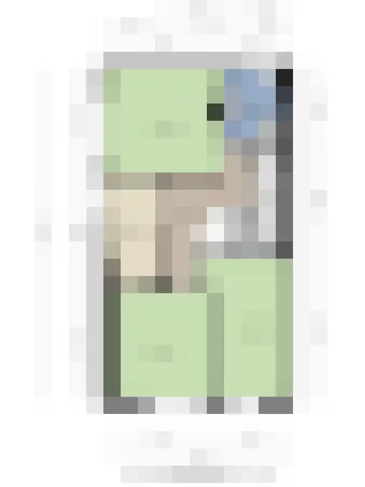Satijnzwam 11 Veenendaal thumbnail 34