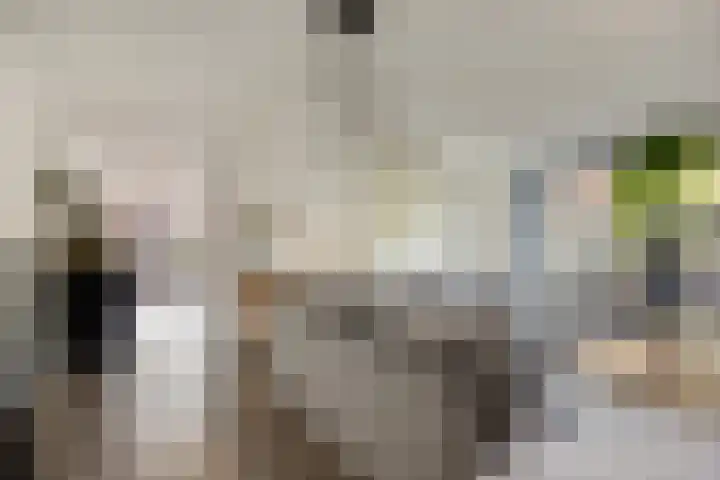 Satijnzwam 11 Veenendaal thumbnail 4