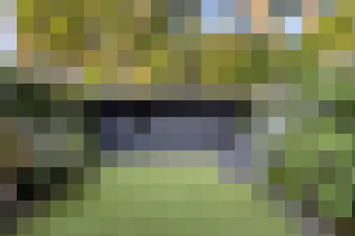 Satijnzwam 11 Veenendaal thumbnail 5