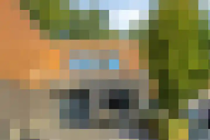 Satijnzwam 11 Veenendaal thumbnail 6