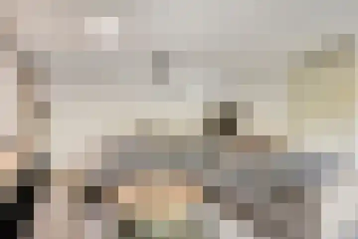 Satijnzwam 11 Veenendaal thumbnail 9