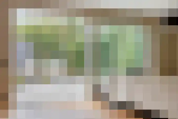 Satijnzwam 13 Veenendaal thumbnail 11
