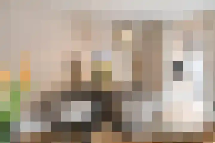 Satijnzwam 13 Veenendaal thumbnail 13