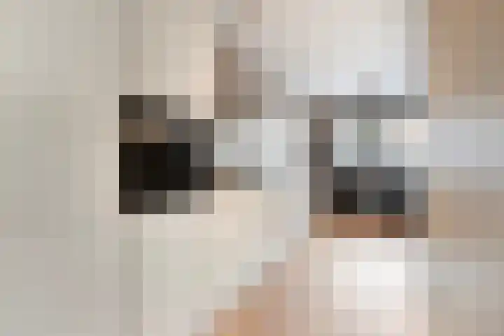 Satijnzwam 13 Veenendaal thumbnail 14