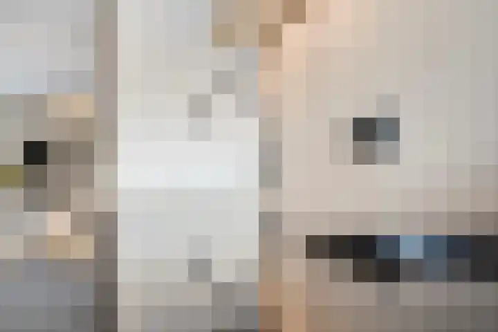 Satijnzwam 13 Veenendaal thumbnail 15
