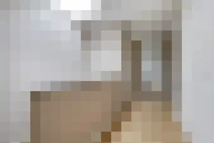 Satijnzwam 13 Veenendaal thumbnail 21