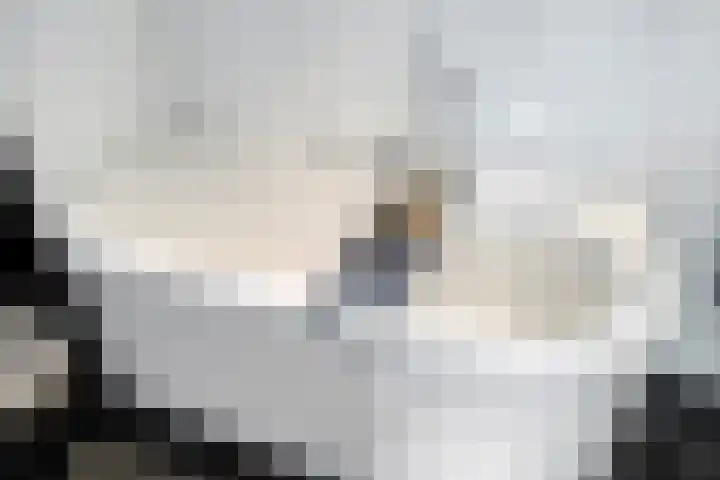 Satijnzwam 13 Veenendaal thumbnail 28