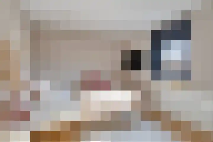 Satijnzwam 13 Veenendaal thumbnail 30