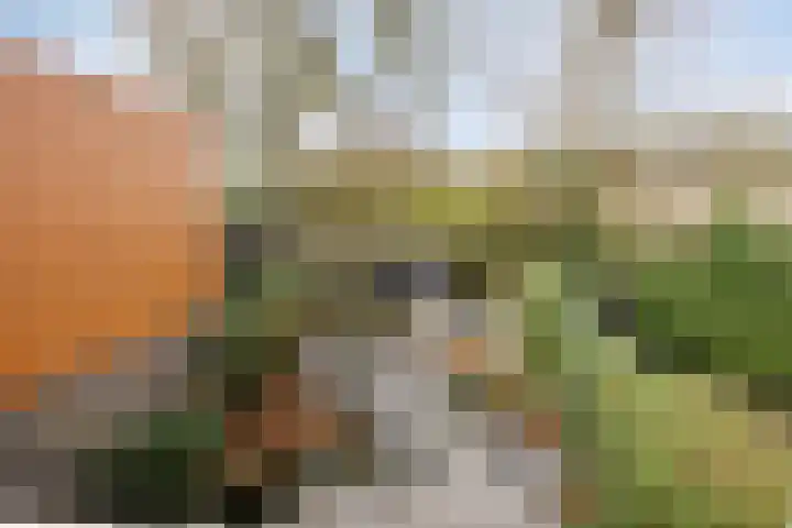Satijnzwam 13 Veenendaal thumbnail 34