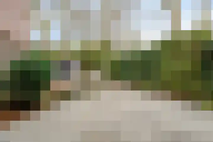 Satijnzwam 13 Veenendaal thumbnail 35