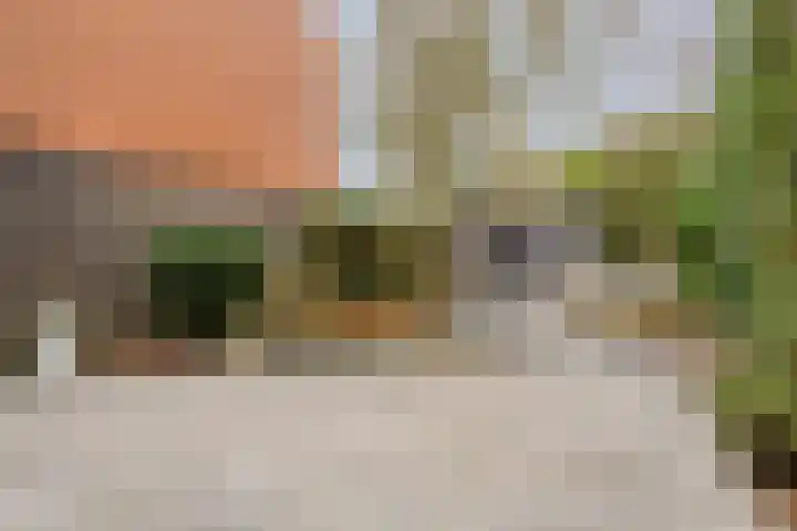 Satijnzwam 13 Veenendaal thumbnail 36