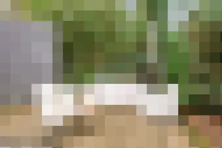 Satijnzwam 13 Veenendaal thumbnail 37