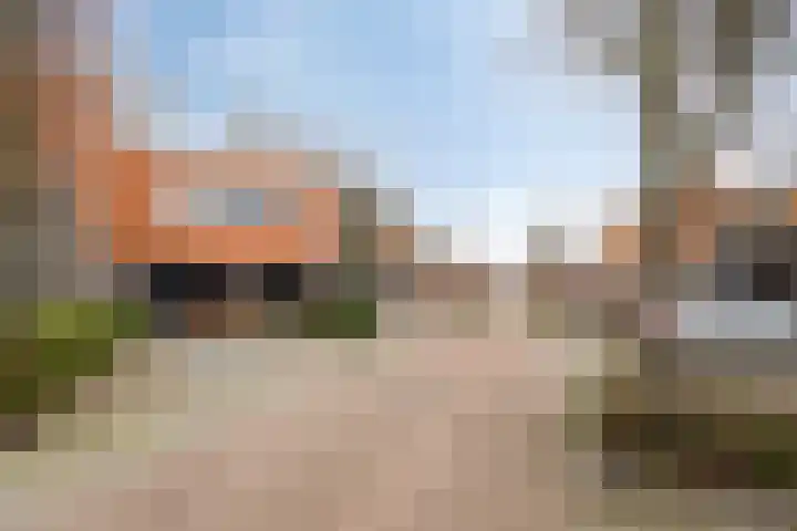 Satijnzwam 13 Veenendaal thumbnail 39