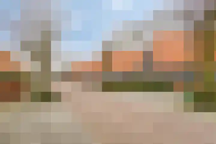 Satijnzwam 13 Veenendaal thumbnail 40