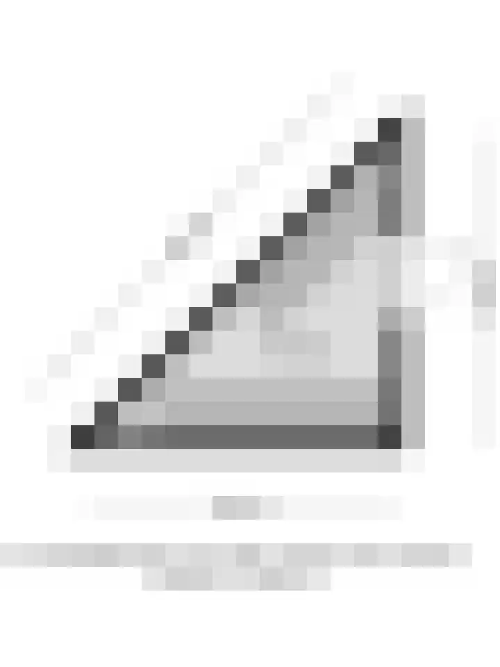 Satijnzwam 13 Veenendaal thumbnail 43