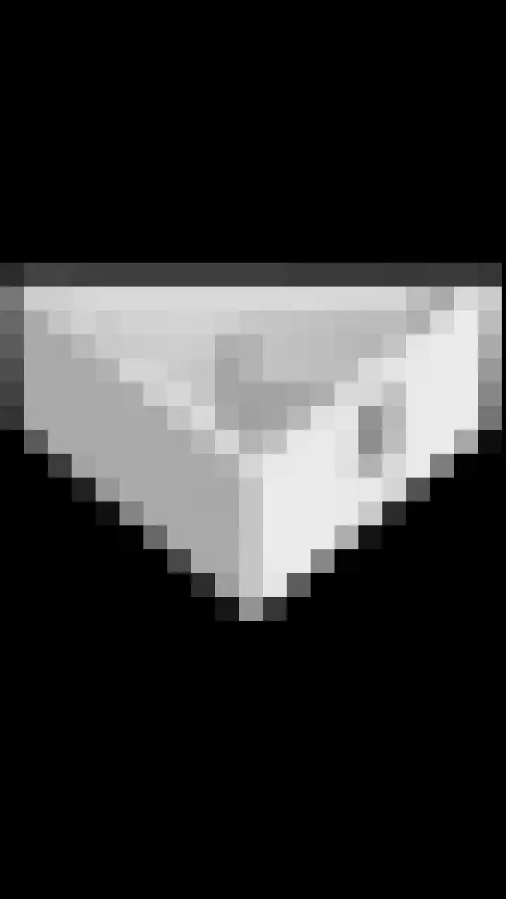 Satijnzwam 13 Veenendaal thumbnail 47