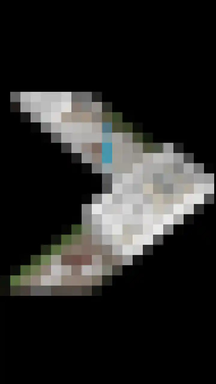 Satijnzwam 13 Veenendaal thumbnail 48