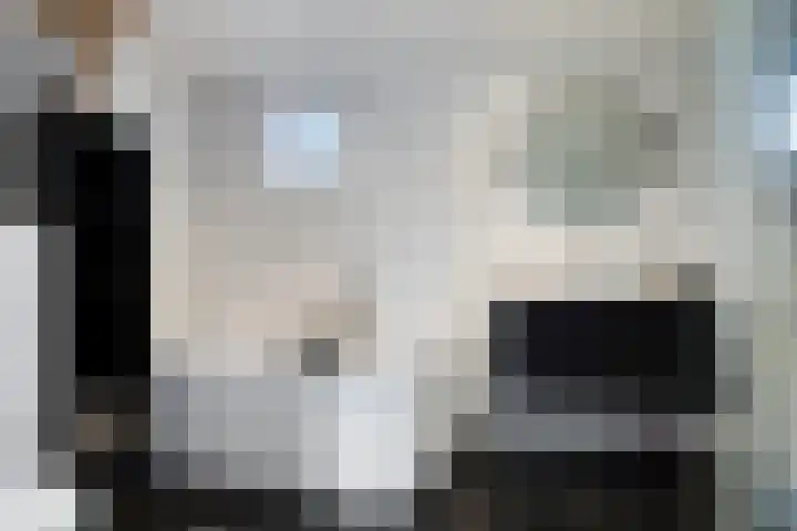 Satijnzwam 13 Veenendaal thumbnail 5