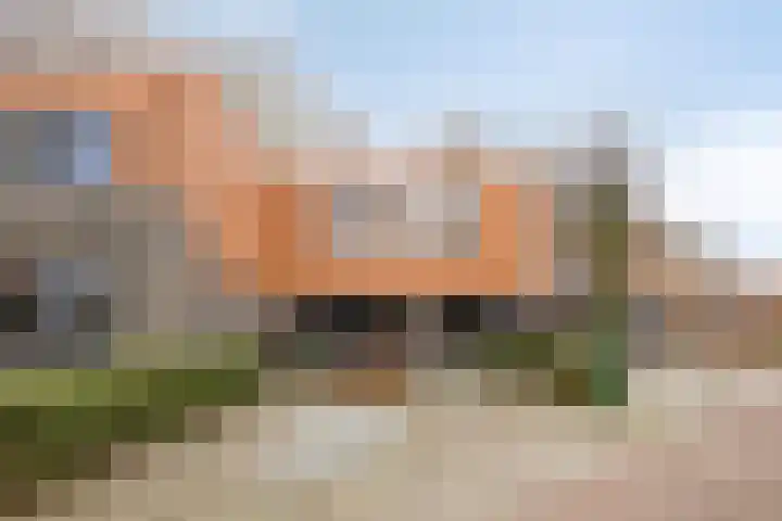 Satijnzwam 13 Veenendaal thumbnail 6